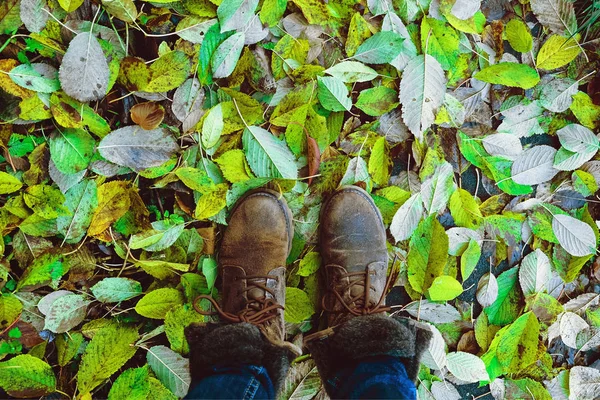Το φθινόπωρο. Πράσινα φύλλα κάτω από τα πόδια σας — Φωτογραφία Αρχείου