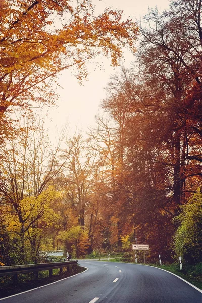 Zlatý Podzim Podzimní Park Silniční Cestování — Stock fotografie