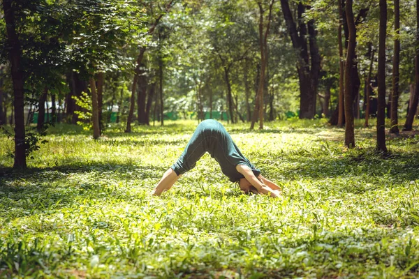 Adho Mukha Svanasana Yoga Asana Natuur Yoga Stelt Elke Dag — Stockfoto
