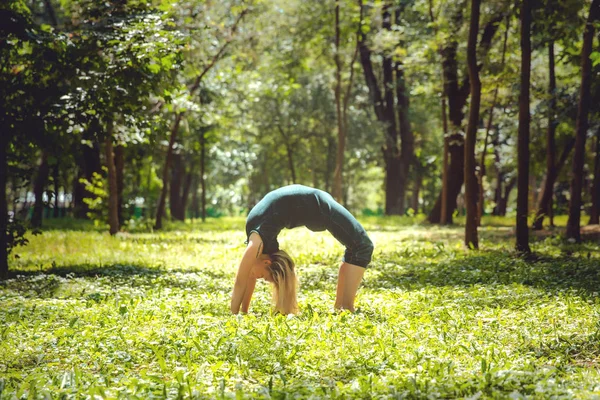 Chakrasana Yoga Asana Natuur Yoga Stelt Elke Dag Het Beoefenen — Stockfoto