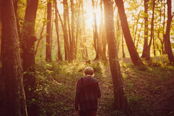 Ein Einsamer Mann Wald Bei Sonnenuntergang Wunderschöner Magischer Ort Sonnenstrahlen — Stockfoto