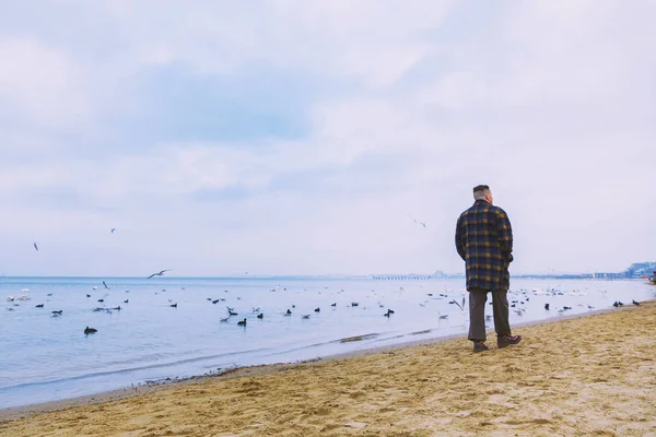 Young lonely men by the sea. Swans seagulls. Cold weather. Blue. Travel lifestyle.