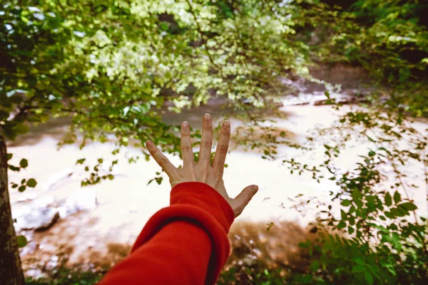 Mann im Wald. Frauenhand. Kontakt zur Natur. Fluss im Hintergrund. Reisen. Leben. Inspiration — Stockfoto