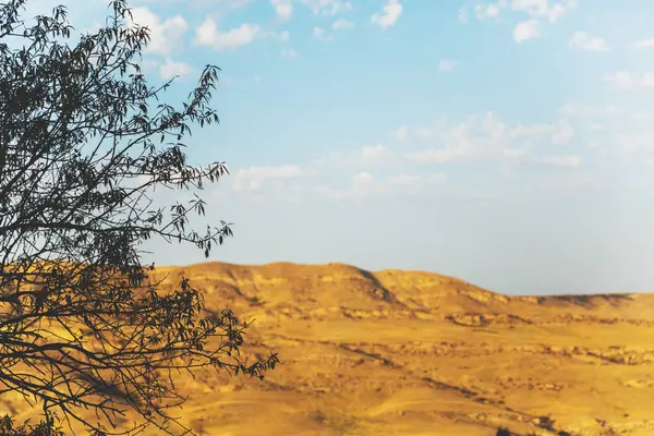 Georgia Paisaje viaje montañas amarillas vista a través de las ramas de un árbol hermosos paisajes monumentos naturales — Foto de Stock