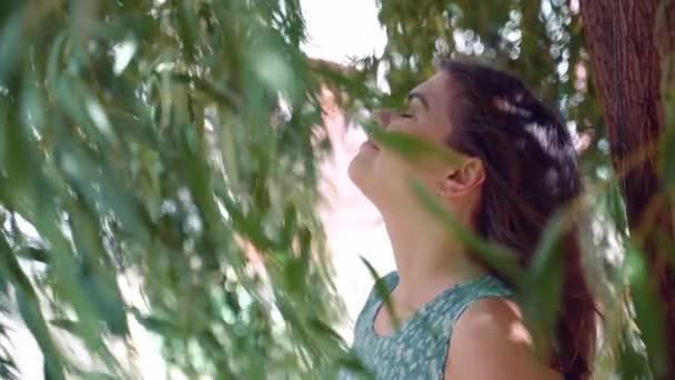 青いドレスを着た美しい茶色の髪の女性が笑顔で 風に吹かれながら柳の木の下で瞬間を楽しんでいます 夏のコンセプト幸福と自由スローモーション — ストック動画