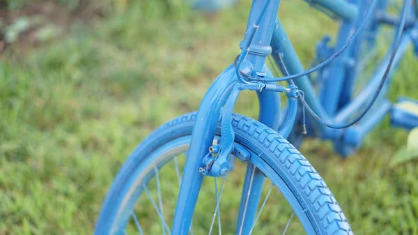 Flores Bicicleta Azul Jardim — Fotografia de Stock