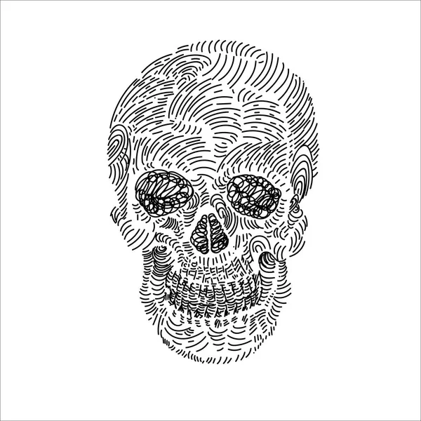 白色背景下颅骨的绘制 — 图库矢量图片