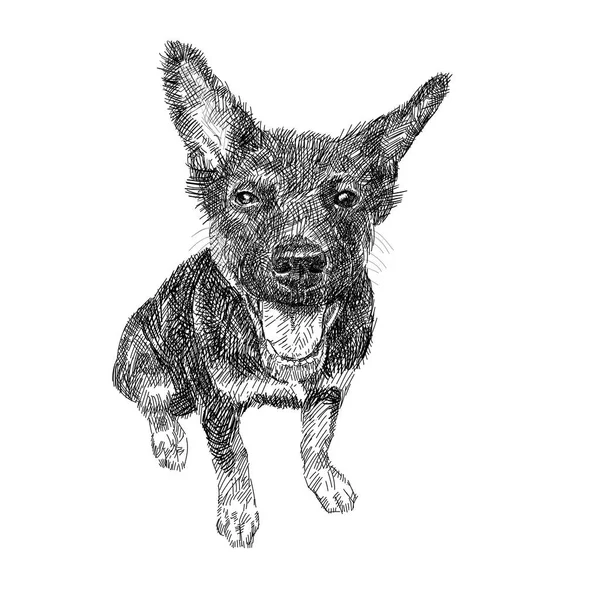 白い背景の上に座っている黒犬の描画 ベクトル イラスト — ストックベクタ