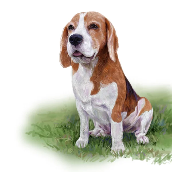 Adorable Beagle Sentado Patio Verde Pintura Digital —  Fotos de Stock