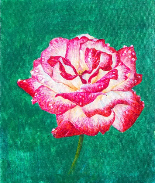 Czerwona Róża Kwiat Malowania Zielonym Tle Kolorem Akryl Płótnie — Zdjęcie stockowe