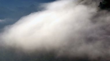Sabahları, Tayland 'da, ağaçların üzerinden yavaşça sis akar.