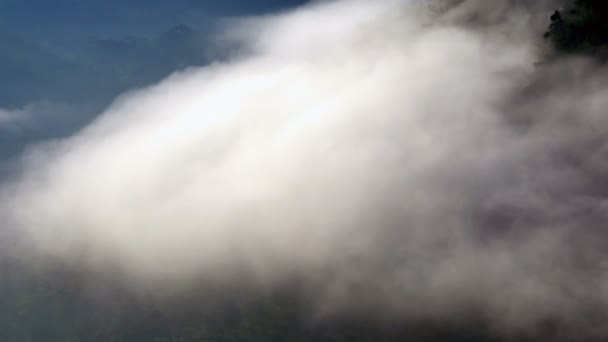 Sabahları Tayland Ağaçların Üzerinden Yavaşça Sis Akar — Stok video