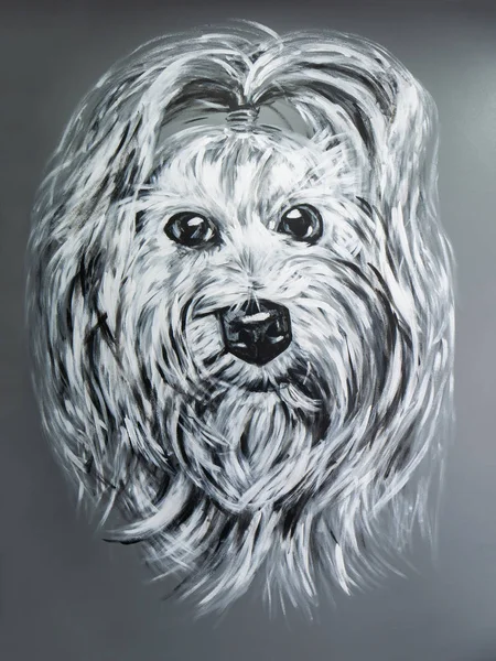 Retrato Grande Pintura Acrílica Cão Com Cabelo Tufo Preto Branco — Fotografia de Stock