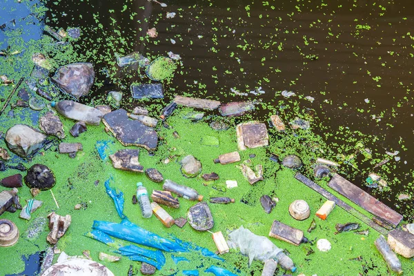 Plastic, bottle ,foam, wood throwing as garbage floating in canal amidst duckweed, Thailand