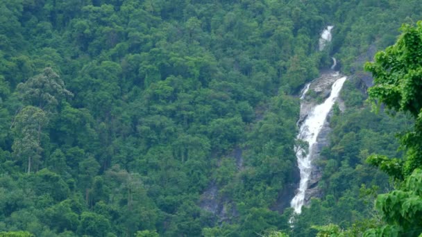 Ton Plew Vattenfall Stream Faller Från Berg Med Gröna Skogen — Stockvideo