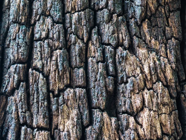 Nahaufnahme Alte Raue Holzstruktur Die Oberfläche Der Alten Braunen Holzstruktur — Stockfoto