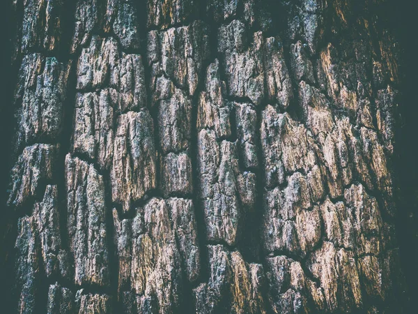 Closeup Old Rough Wooden Texture Surface Old Brown Wood Texture — Stock Photo, Image