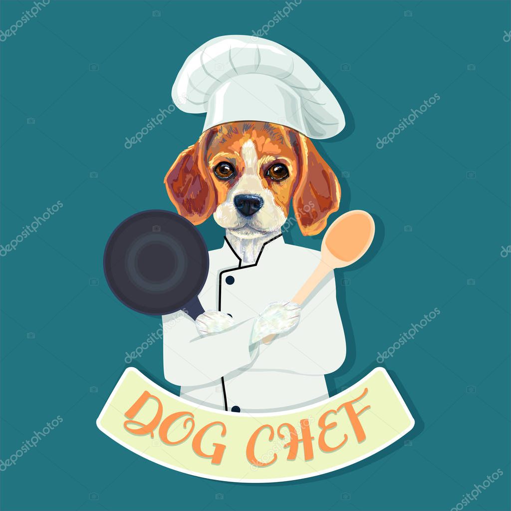 Funny beagle dog chef holding ladle and frying pan on blue background. vector illustration.