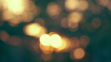 Gün batımından gelen güneş ışığını, akşam büyük ağaçların arkasındaki yeşil yaprağın ardından söndür. Hareket ve ışıldayan ışık bokeh.