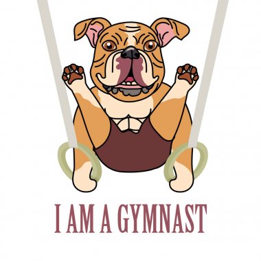 İngiliz bulldog sporcular jimnastik halkaları ile egzersiz