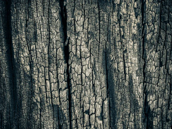 다크 브라운 나무 껍질의 클로즈업 건조 식감. — 스톡 사진
