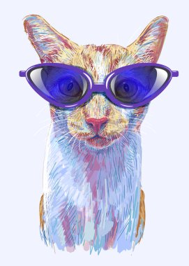 Zencefil kedi, gözlük takan sevimli kedi yavrusu portresi.