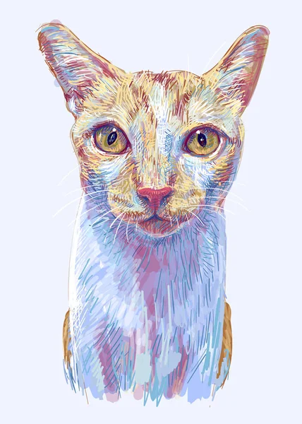 Gato de gengibre, retrato de gatinho bonito isolado na luz azul backg — Vetor de Stock