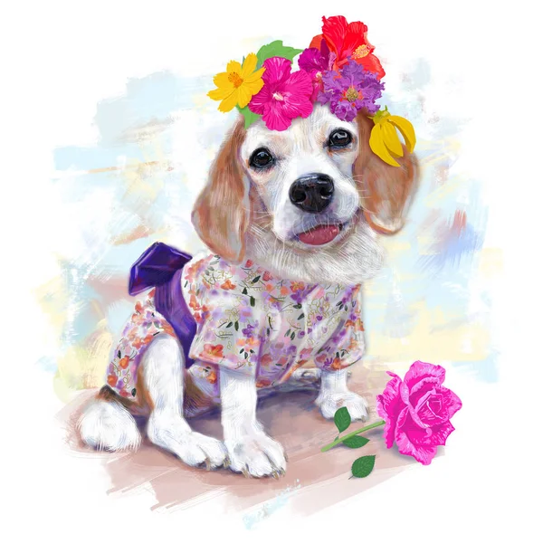 Adorable beagle wear cute costumes, japan style, and chaplet — Stock Photo, Image