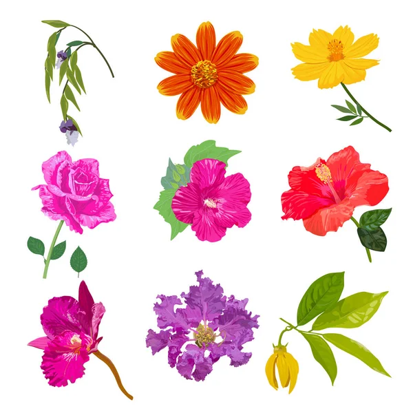 Pestrá kolekce barevných realistických květin na bílém pozadí — Stockový vektor