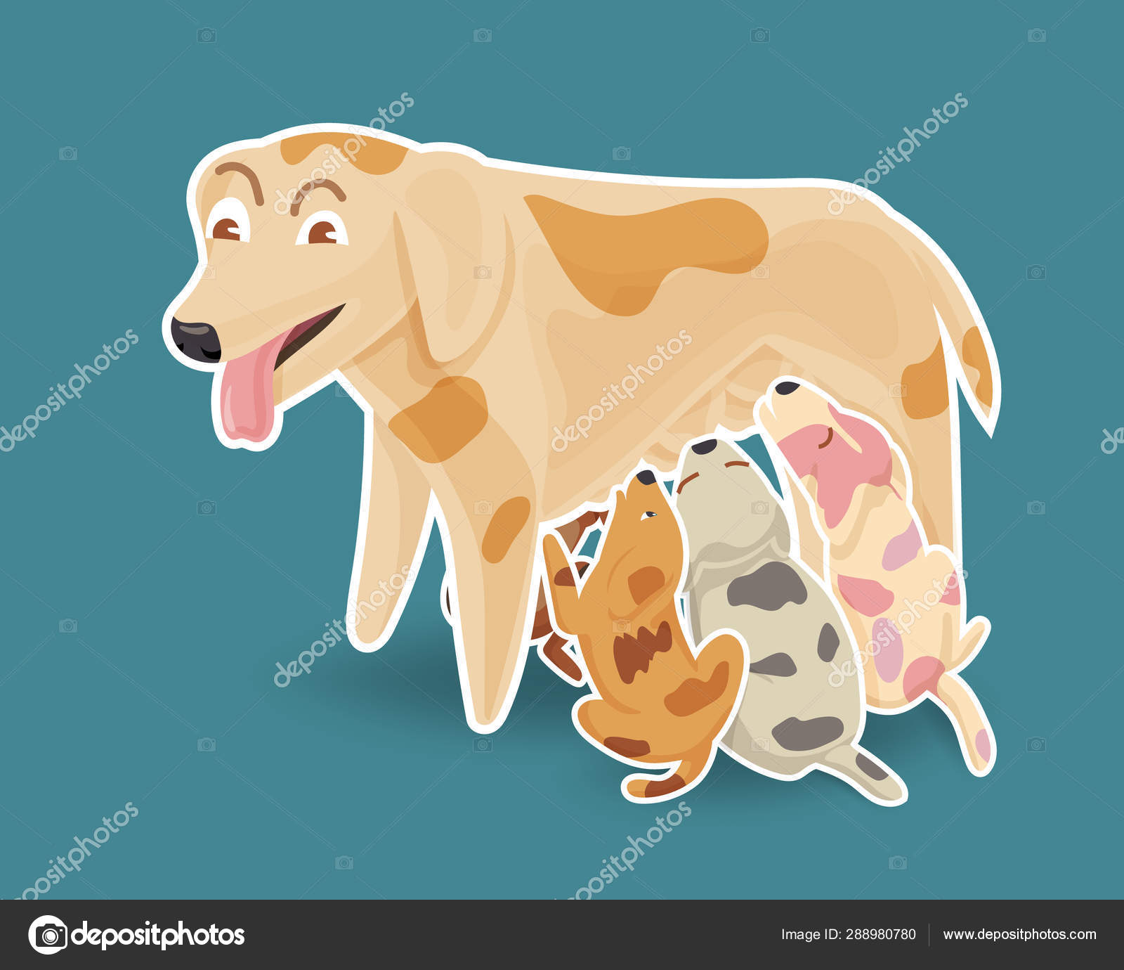 What To Feed A Nursing Mother Dog