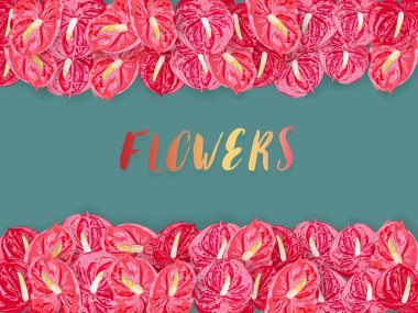 Yeşil arka plan üzerinde kırmızı spadix çiçek Desen.