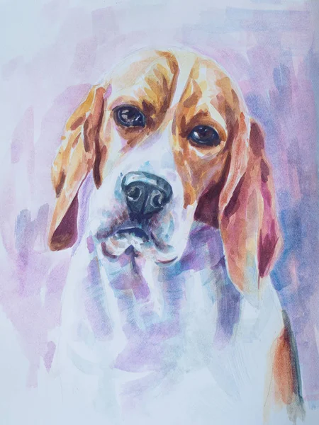 Pintura de cão beagle em tecido branco — Fotografia de Stock