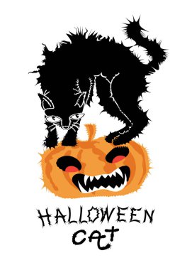 Cadılar Bayramı kara kedisinin beyaz arka planda el yazısı olan balkabağına yapışması. vektör illüstrasyonu.