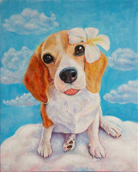 Cute Elizabeth Beagle Dog Flowers His Ears Sitting Clouds Sky — Stock Photo, Image