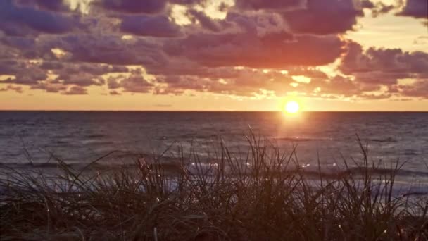多云日落在波罗的海与草的前景 — 图库视频影像