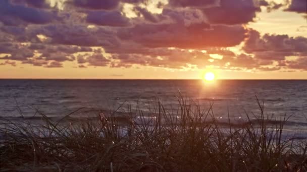 Tramonto Nuvoloso Sul Mar Baltico Con Erba Primo Piano — Video Stock