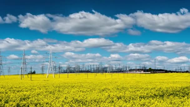 Power plant in a rapeseed field time lapse — Stock Video