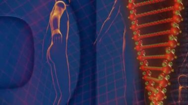 insan dna kodu bilim tıbbi