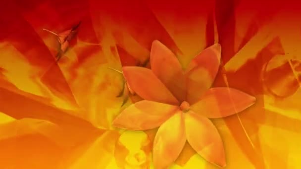 Bloemen Oranje Liefde Achtergrond — Stockvideo
