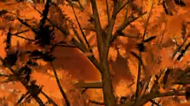 Φύλλα Φθινοπώρου Φυσικό Δέντρο Κίτρινο — Αρχείο Βίντεο