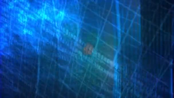 Лазерне Світло Синій Промінь — стокове відео