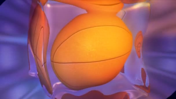 Sport Glace Basket Ball Jouer Jeu — Video