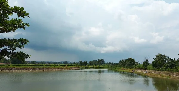 水塘景观作为自然背景 — 图库照片
