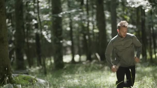 Seorang Pria Berlari Melalui Hutan Yang Dalam Dan Liar — Stok Video