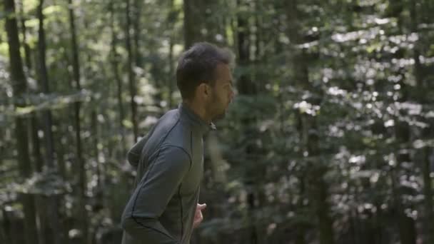 Jeune Homme Courant Faisant Jogging Dans Une Forêt Profonde — Video