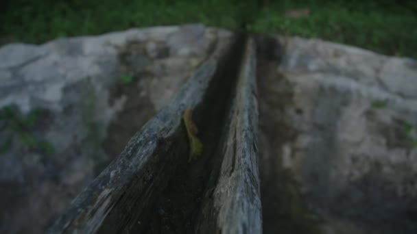 Dřevěná Vodní Chrlič Obci — Stock video