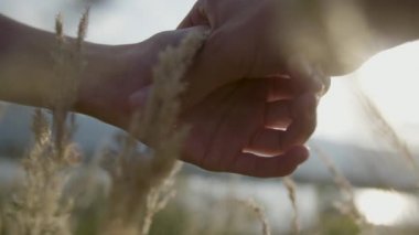 Romantik Çift birbirlerine dikkat buğday alanında gösterilen.   