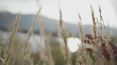 Birbirlerine uzanarak ve el ele tutuşarak romantik çift