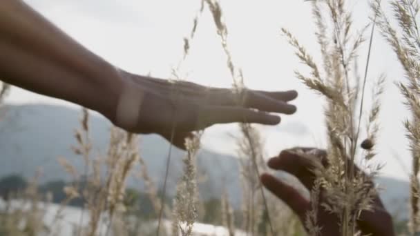 Casal Romântico Toma Mão Meio Campo Sol Está Brilhando Suas — Vídeo de Stock