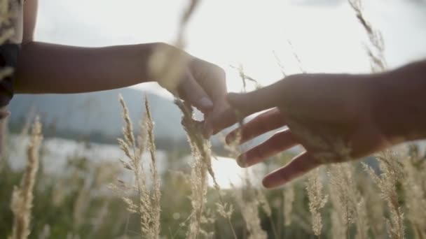 Birbirlerine Uzanarak Ele Tutuşarak Romantik Çift — Stok video